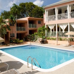 Travellers Palm