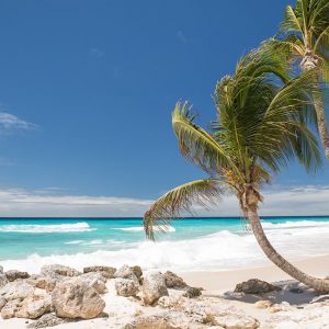 Turtle Beach By Elegant Hotels