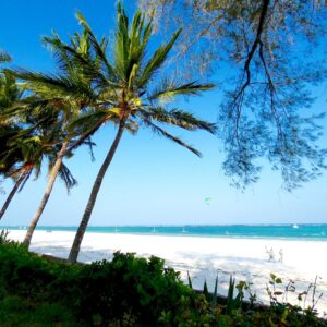 Papillon Lagoon Reef – Diani Mombasa