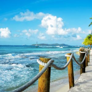 Palm Island