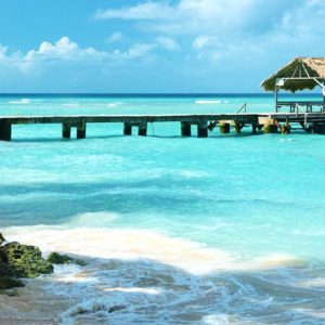 Coco Reef